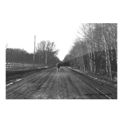 collage image title